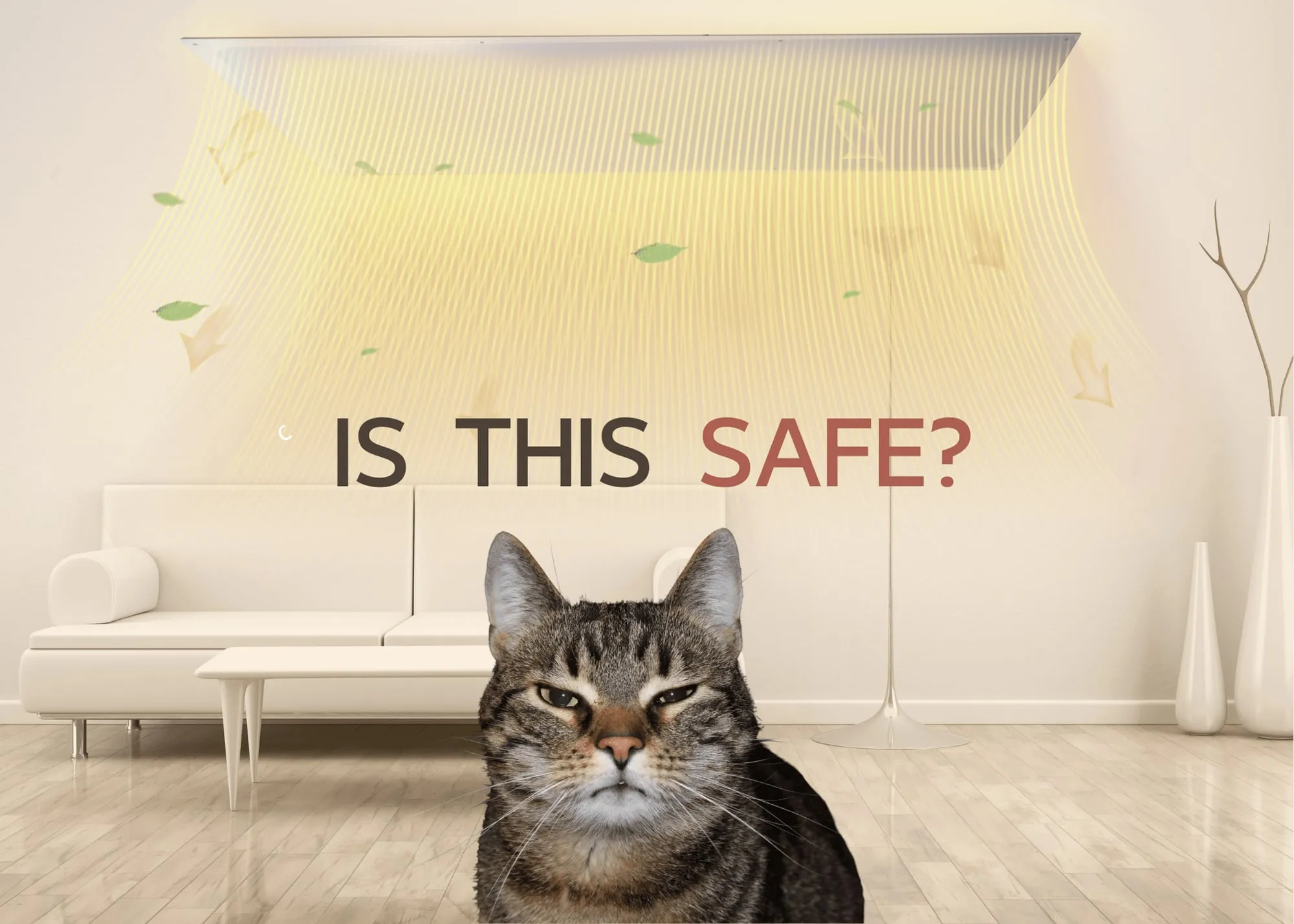 A cat sitting in a room warmed by a ceiling element, under the words "Is this safe?"