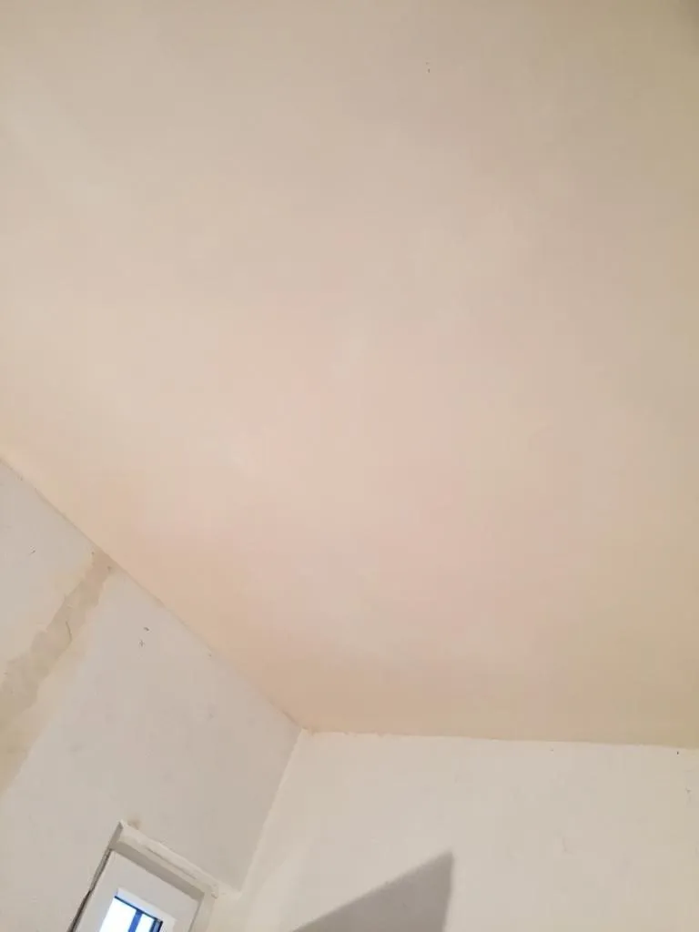 A finished ceiling with no visible heating
